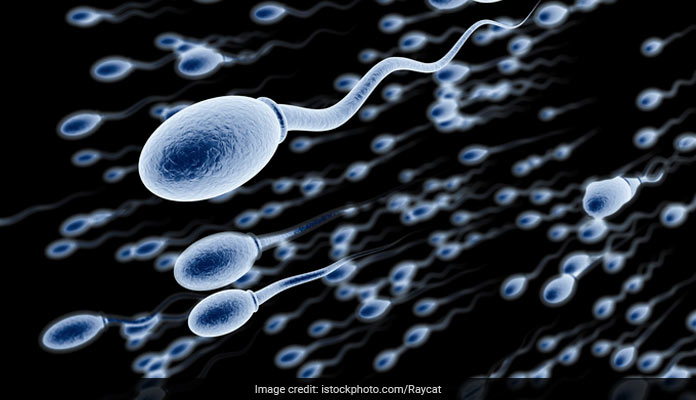 sperm quality