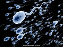 Sperm Count की समस्या से हर पुरुष है परेशान, शोध में आया इस तरह दूर करें ये प्रॉब्लम Sperm Count की समस्या से हर पुरुष है परेशान, शोध में आया इस तरह दूर करें ये प्रॉब्लम