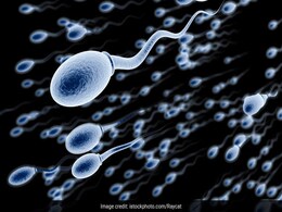 Male Fertility: Nutritionist Suggests 5 Food Items To Improve Sperm Mobility Male Fertility: Nutritionist Suggests 5 Food Items To Improve Sperm Mobility