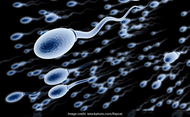 Male Fertility: Nutritionist Suggests 5 Food Items To Improve Sperm Mobility