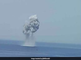 Bird Brings Down Russian Jet Off Syria, Both Pilots Killed Bird Brings Down Russian Jet Off Syria, Both Pilots Killed