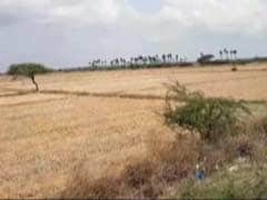 Amid Cauvery Row, Farmers In Parched Tamil Nadu Are Worried About Future