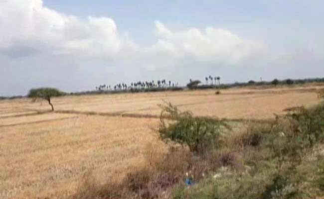 Amid Cauvery Row, Farmers In Parched Tamil Nadu Are Worried About Future