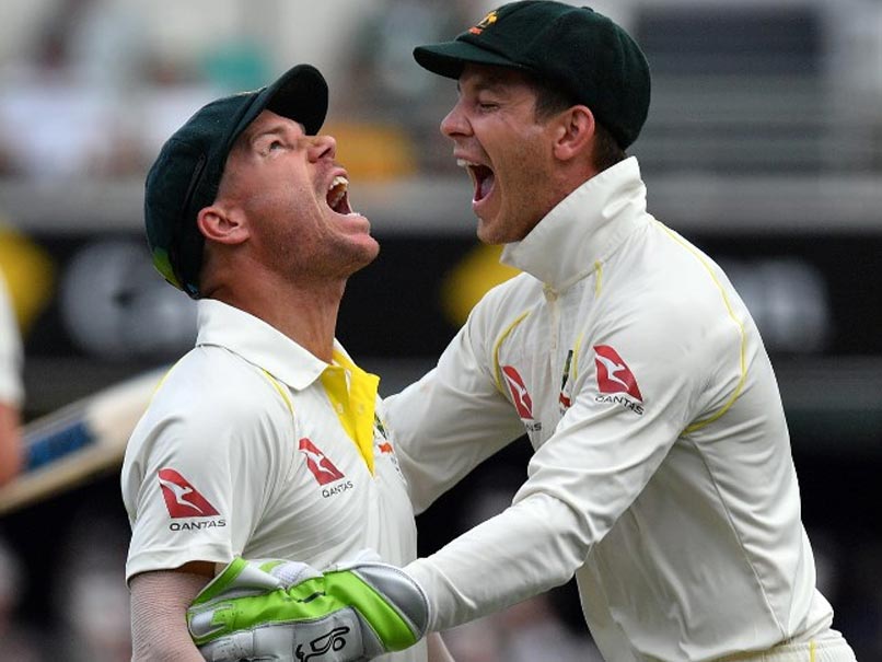 Australian Captain Tim Paine Denies David Warner Rift Australian Captain Tim Paine Denies David Warner Rift