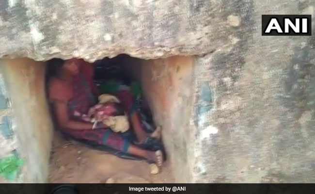 ओडिशा में हाथी ने घर दिया उजाड़ तो महिला ने पुलिया के नीचे दिया बच्चे को जन्म, सोई रही सरकार