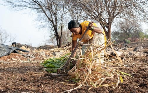 Social Investment Will Enable: Social Investment Will Enable: