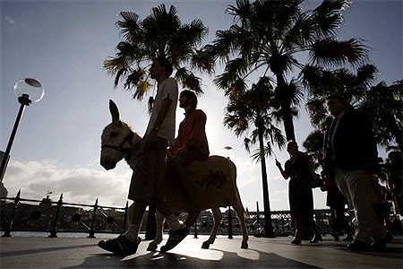 Contestant rides donkey for votes