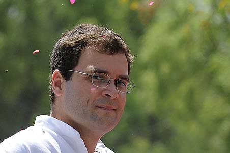 Verdict on Rahul, Pawar in phase 2