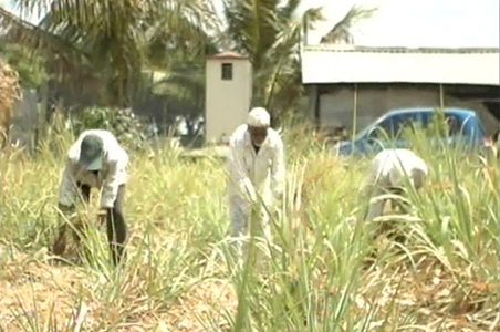 Maharashtra's sugar politics on its way to change