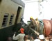 4 dead, 8 injured in bizarre rail mishap