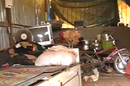 New homes for Slumdog child stars?