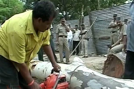 Trees cut for Bangalore Metro construction