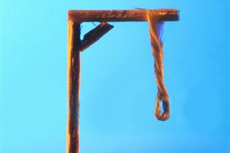 7 PIOs may get death penalty in Malaysia