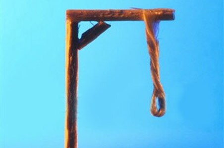 7 PIOs may get death penalty in Malaysia 7 PIOs may get death penalty in Malaysia