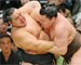 Sumo wrestler finds new lackey in Pitt