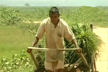 Poor rainfall worries Assam farmers