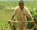 Poor rainfall worries Assam farmers