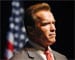 Arnold Schwarzenegger as next Austrian president?