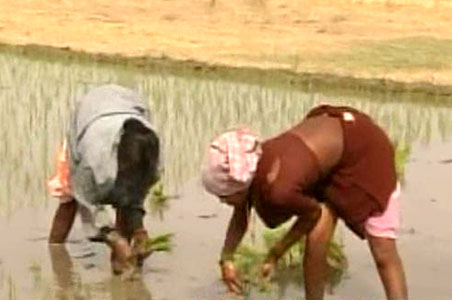 Delayed rains, farmers' nightmare