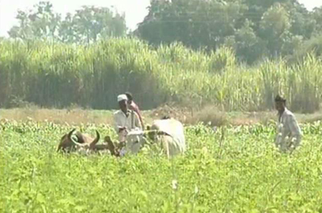 Rainfall likely to be 93% of normal, says government
