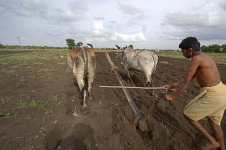 देश में इस साल एक लाख हेक्टेयर अधिक क्षेत्र में खरीफ फसलों की बुआई
