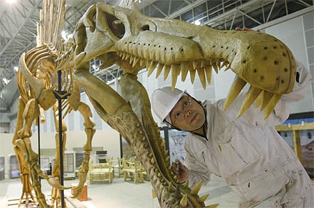 Bones of world's biggest dino exhibited in Japan