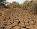 Worst Impact of Poor Monsoon Likely to Be in West India: Agriculture Minister