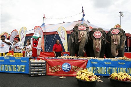 Eating contest between elephants and humans
