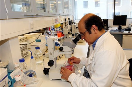 UK scientists create human sperm