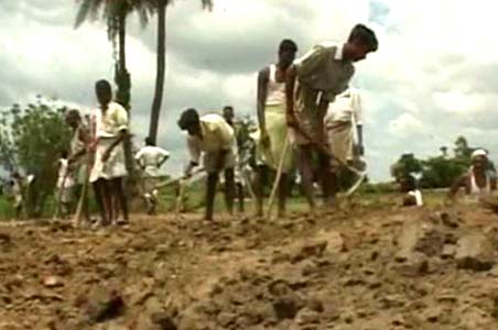 Drought fears loom large in north India