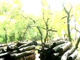 Illegal mining still rampant in Goa Illegal mining still rampant in Goa