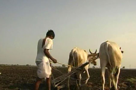Andhra Pradesh staring at drought
