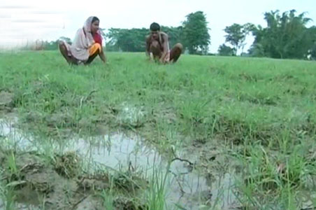 Darbhanga in Bihar faces flood