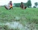 Darbhanga in Bihar faces flood
