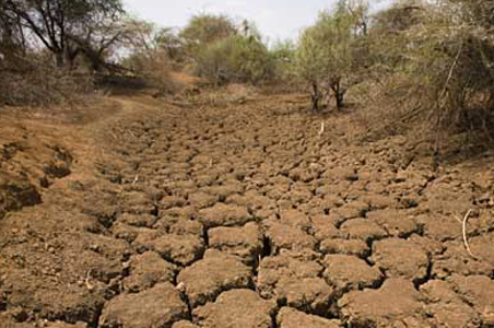 12 राज्यों में भीषण सूखा : सोचें और सहेजें पानी को!