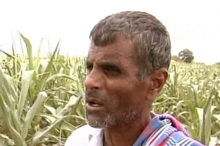 The issue of crop insurance in Andhra