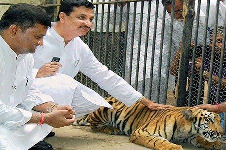 Tiger cage row: CZA gives clean chit to minister