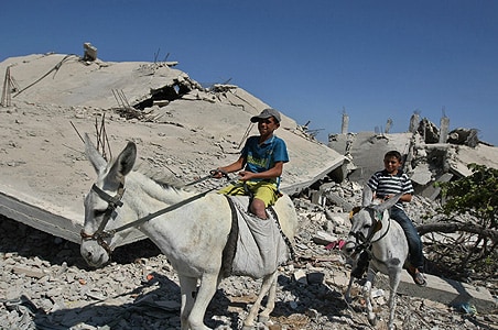 Evidence of war crimes in Gaza conflict: UN probe