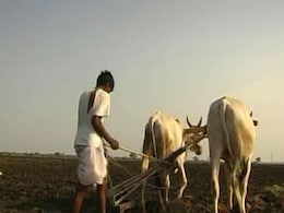 Drought forces Bundelkhand farmers to migrate Drought forces Bundelkhand farmers to migrate