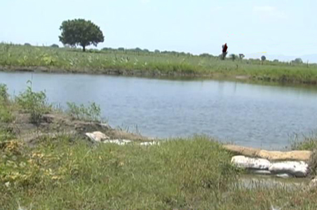 Madhya Pradesh: Village gets 'Water God'