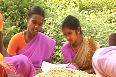 Tamil Nadu tribals bring grain revolution