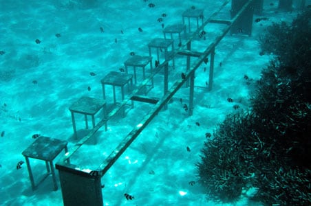 Maldives: World's first underwater cabinet meet