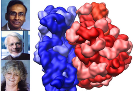 Indian-origin scientist wins Nobel chemistry prize