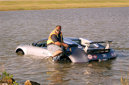 Man distracted by bird drives Bugatti into marsh