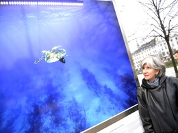 Who stands where Who stands where