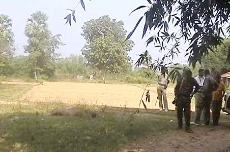 Maoists kill school teacher in Bengal