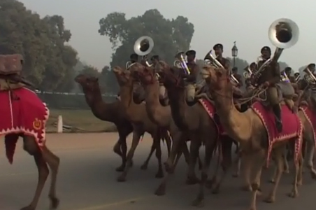 Border Security Force's scene-stealers at R-Day parade