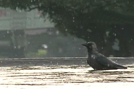 Delhi wakes up to heavy rain, lightning