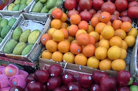Cold imperils Florida's fruit and veggies