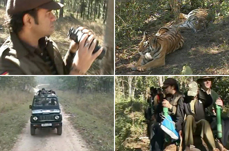 Mohit Chauhan sings for the tiger